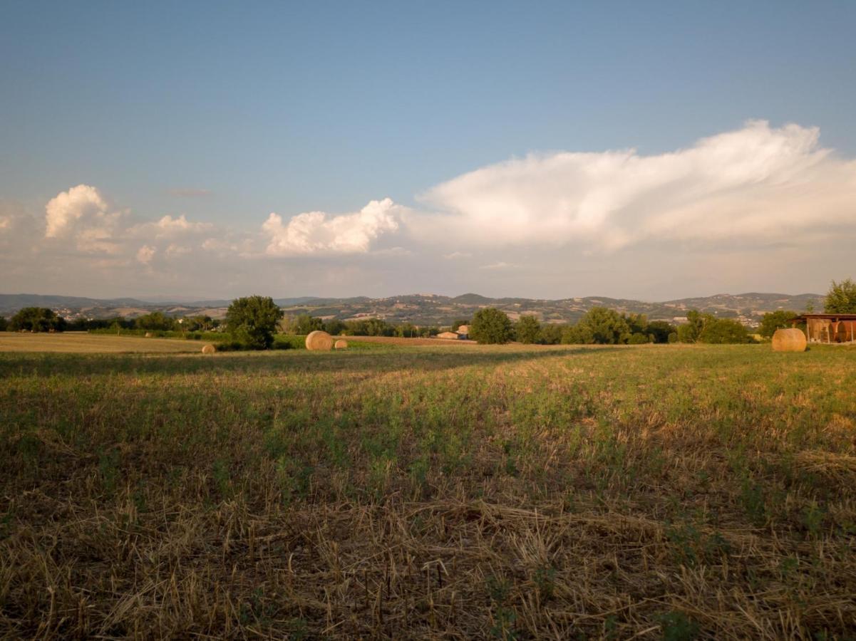 Agriturismo Consalvi Valentina مارشانو المظهر الخارجي الصورة
