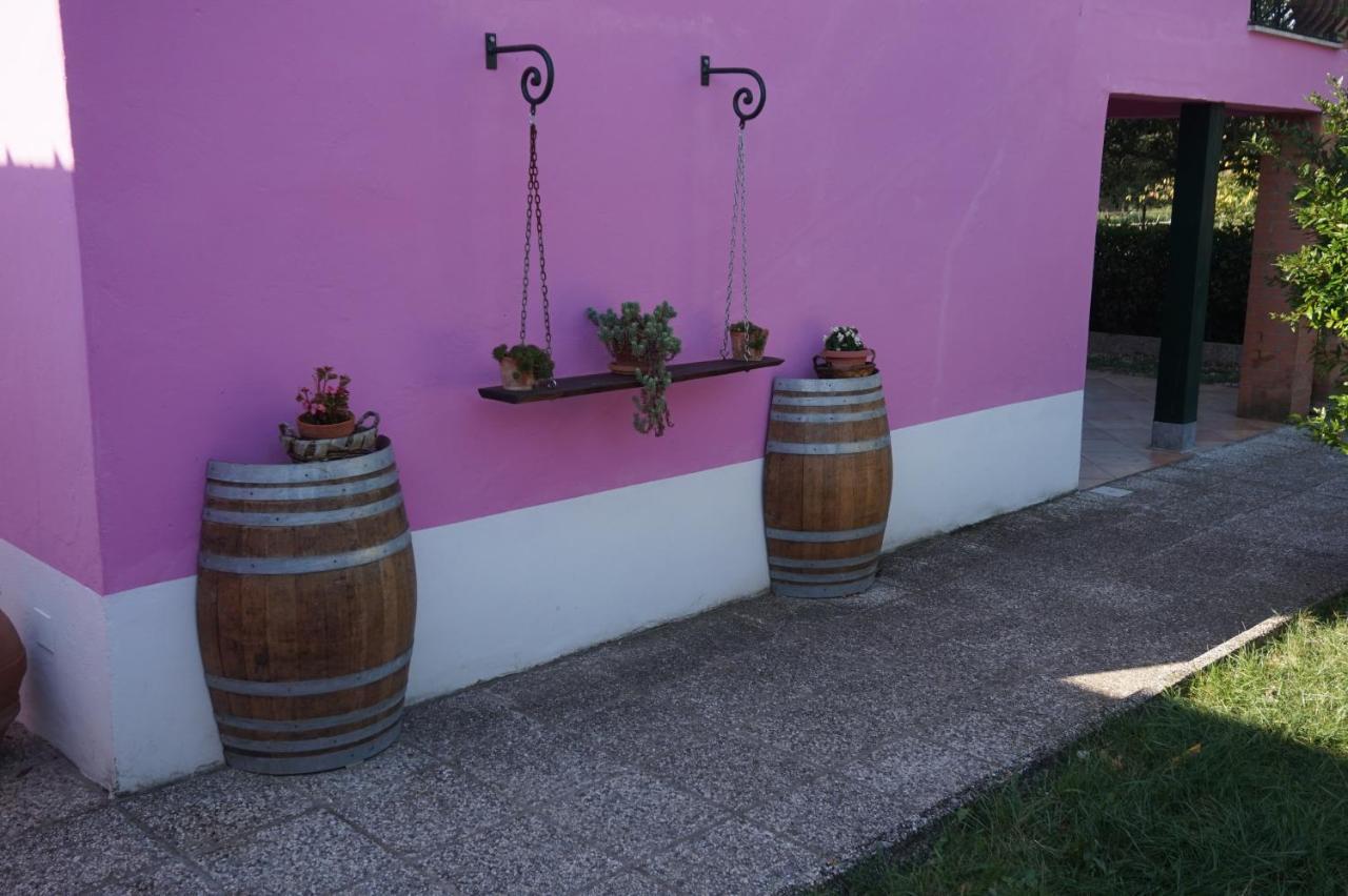 Agriturismo Consalvi Valentina مارشانو المظهر الخارجي الصورة